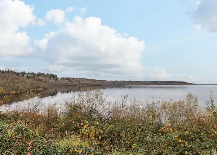 Donross